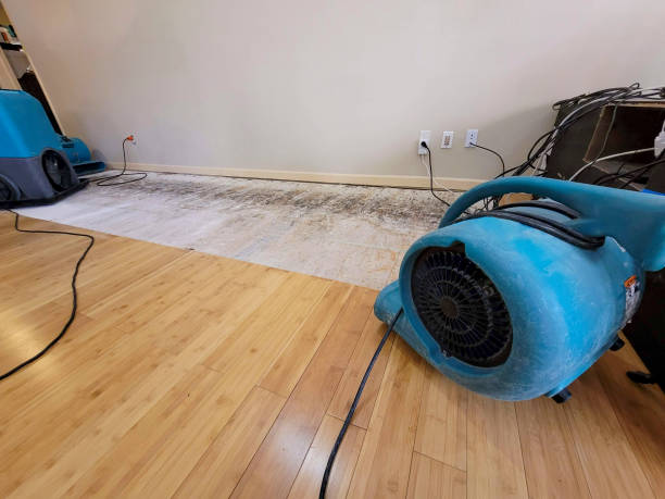 Professional Structural Drying technician working in Malvern, AR